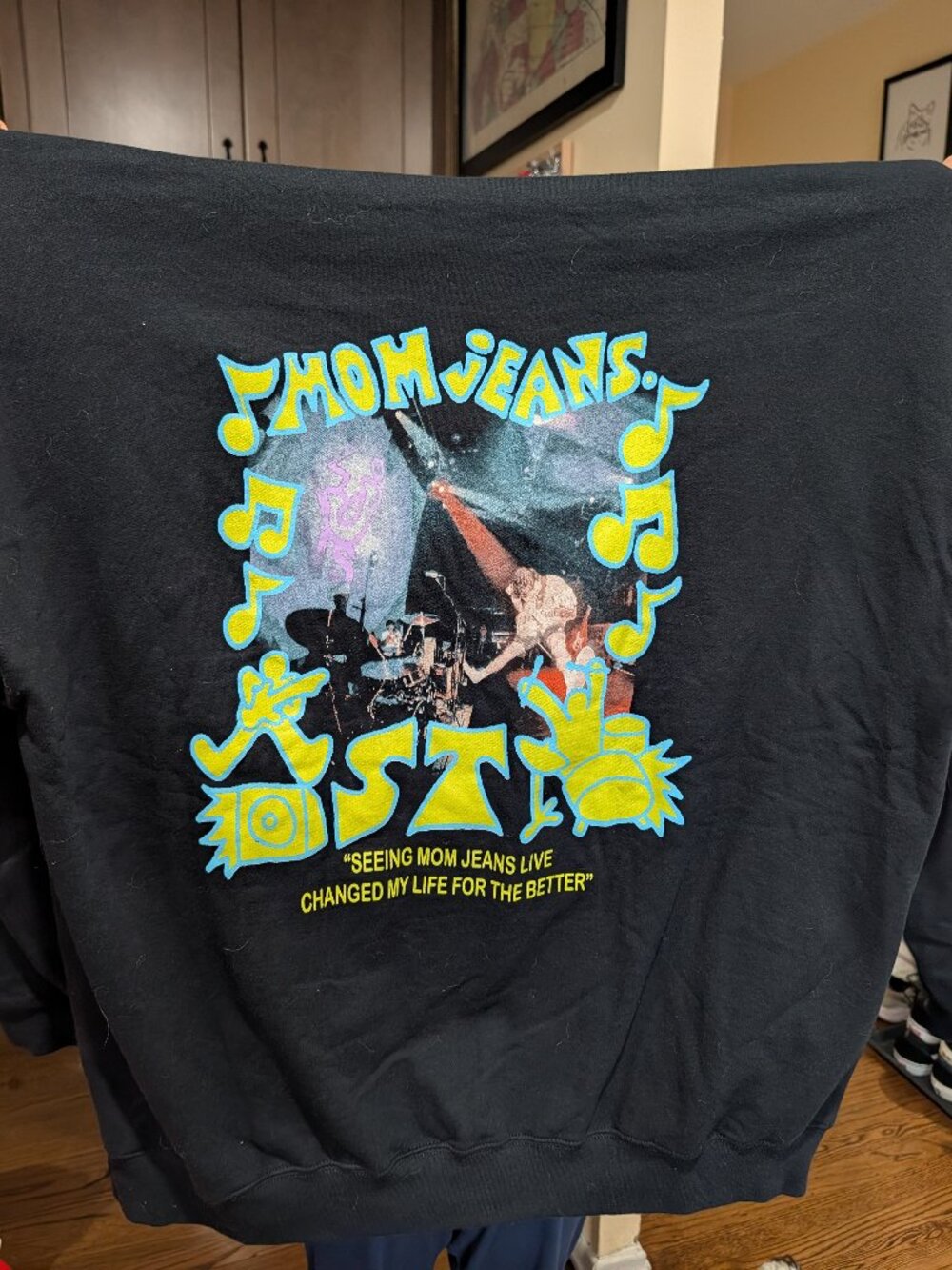Mom Jeans. Pop Punk Band Merchanise Pull Over Hoodie - Unworn